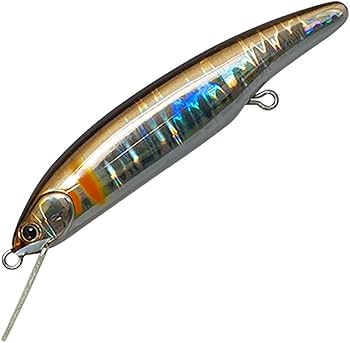 Amazon.co.jp: パームス(Palms) ワーム エスケード 80MDF